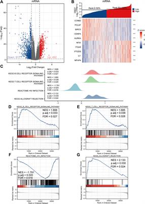 Comprehensive analysis to identify GNG7 as a prognostic biomarker in lung adenocarcinoma correlating with immune infiltrates